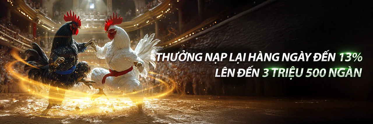 Sân vận động thể thao sôi động, cá cược thể thao trực tuyến tại Sam86 chính thức